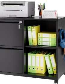 Lateral 2 Drawer Filing Cabinet with Lock, Mobile File Cabinet on Wheels, Printer Stand with Storage for Legal/Letter/A4 File Folders (Blcak)